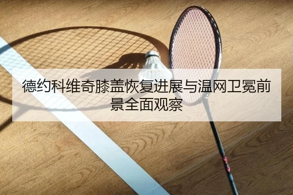 德约科维奇膝盖恢复进展与温网卫冕前景全面观察